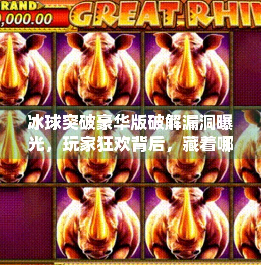 冰球突破豪华版破解漏洞曝光，玩家狂欢背后，藏着哪些安全隐患？冰球突破豪华版破解漏洞